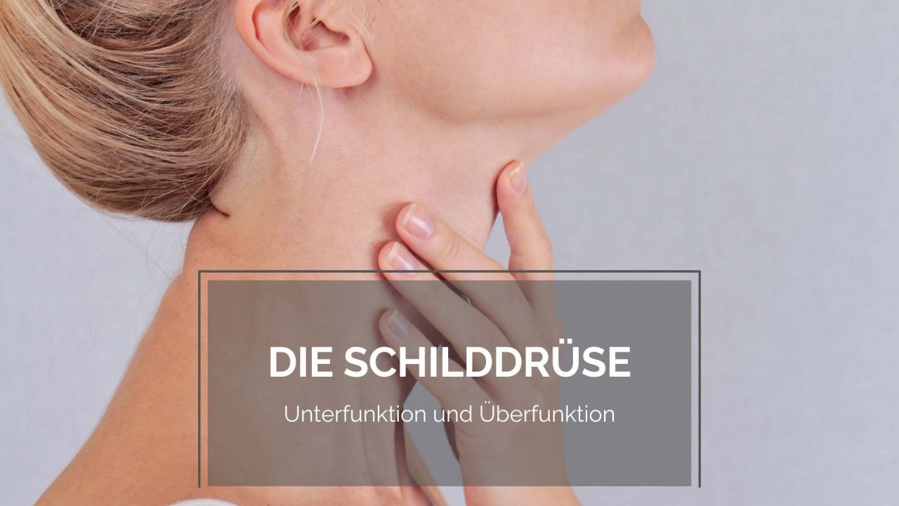 Die Schilddrüse (Unterfunktion und Überfunktion) - Zisano