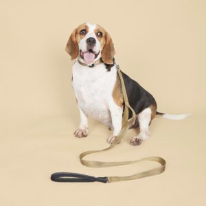 Zisano Dog Leine - Beige