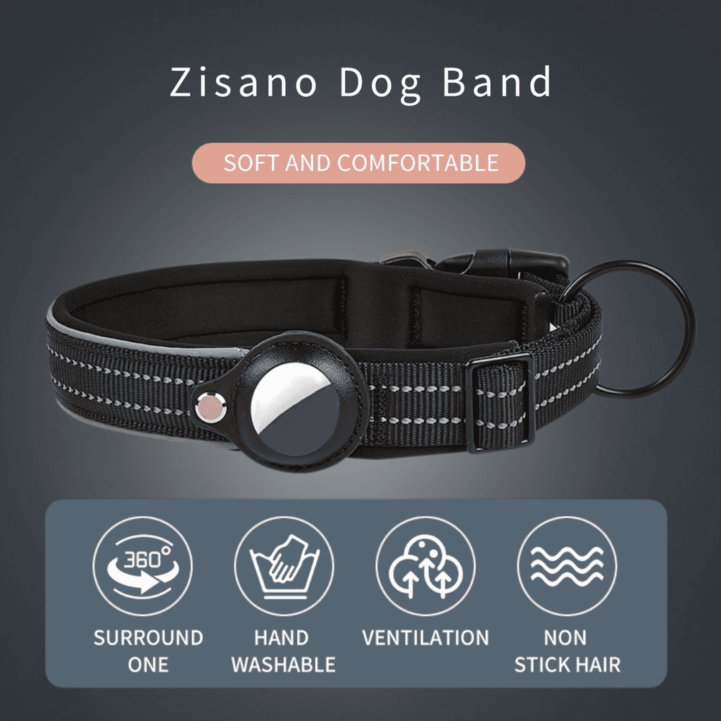 ZISANO Dog Band in Schwarz